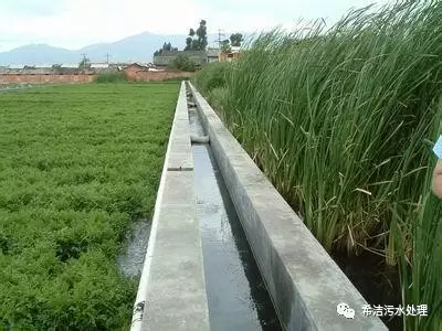 污水如何除磷_污水处理厂除磷用什么药剂_污水厂除磷