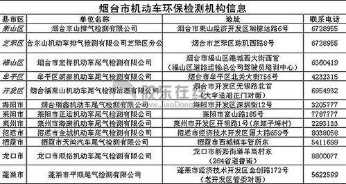 车辆环保清单电子版查询