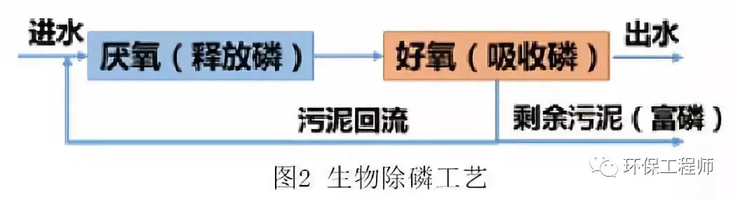 污水处理生物膜技术_生物膜处理污水机理_生物膜污水处理设备