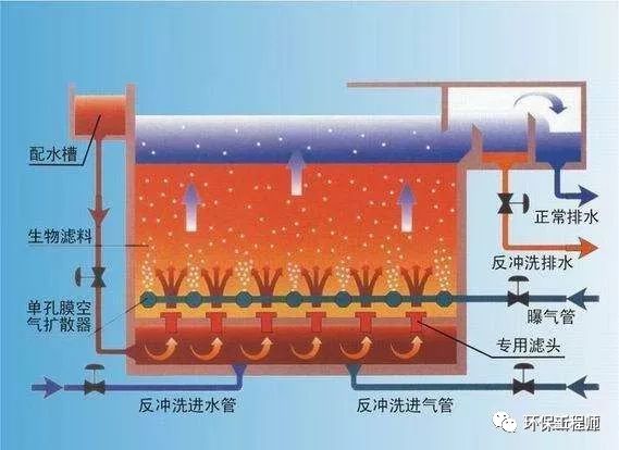 生物膜处理污水机理_污水处理生物膜技术_生物膜污水处理设备